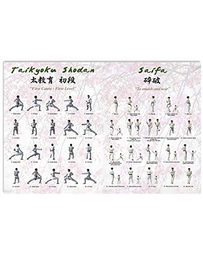 Karate Knowledge Guide Tin Poster Martial Arts Hall Decor Taikyoku Shodan Saifa Tin Poster Home Club Office Wall Decoration Plaque 12x18 Inches