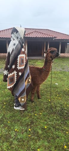 Image of Alpaca Wool Blanket, Throw Size 78 x 47, Reversible 2 in 1, Thick and Ultra Soft, Hypoallergenic, Non-Itchy, Handmade in Ecuador. Premium Alpaca Wool Thtow Blanket for Cozy Comfort. (Brown Coffee)