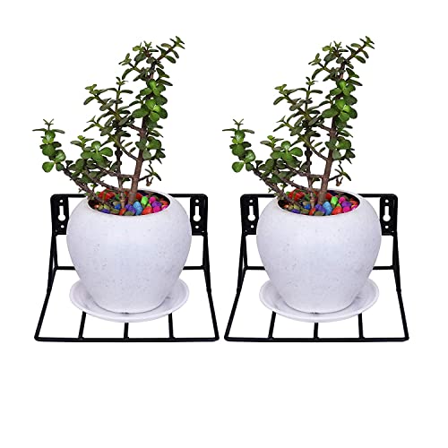 Dime Store Hanging Plant Stand / Flower Pot Stand / Plant Hanger For Balcony / Plant Hanging Basket (Black, Set Of 2)