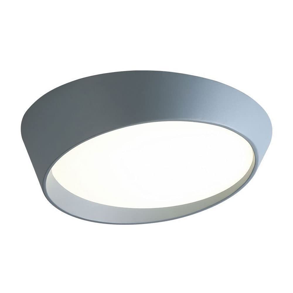 KXKLGWHN LED Flush Mount Ceiling Light, Irregular Round Ceiling Lamp, Three-Color Temperature Adjustable, Close To Ceiling Light Fixtures For Hallway Stairwell