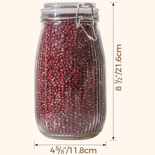 Image of ginoya brothers - Kitchen Glass Jar (3, 2000 Ml. Ballon Jar)