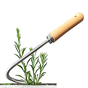 ENLACE Unkrautstecher Edelstahl Garten Manueller Weeder Wurzeljäter Gartengerät,Unkrautjäter mit Holzgriff,Wurzeljäter Unkrautgabel für Garten zum Graben, Umpflanzen, Jäten