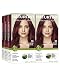Naturtint Permanent Hair Color - 9R Fire Red, 5.28 fl oz (6-pack)
