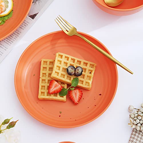 Kyraton Plastic Dinnerware Set of 16 Pieces, Unbreakable And Reusable