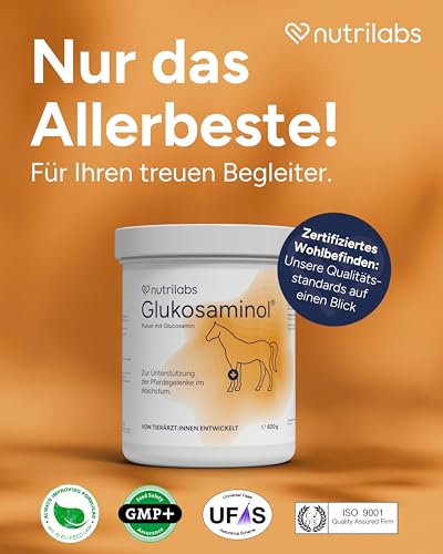 NutriLabs Glukosaminol® equin Gelenk-Pulver für Jung-Pferde 600 g - mit Glucosamin & Magnesium Pferd - Glucosamin Pulver - Pferde-Nahrungsergänzungsmittel - Gelenknahrung für Pferde