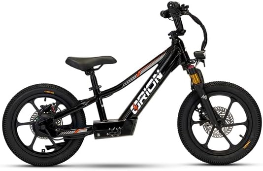 Orion Moto e16x kids ebike