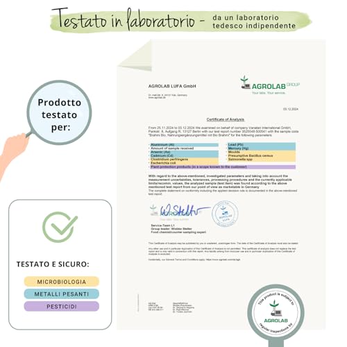 BACOPA MONNIERI BIO Vegavero® | 750 mg | Brahmi con Bacopasidi | NOOTROPICO naturale per Memoria e Concentrazione | 180 compresse | Vegan - 6