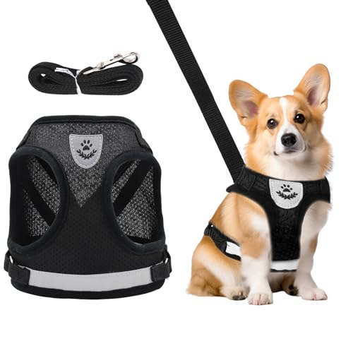 Cawjug Hundegeschirr Und Leine Set, Weiches Einstellbares Reflektierendes Schritt-in - Foto 2