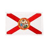 Desert Cactus Florida Flag Patch 3.5x2.25 inch Iron On Sew Embroidered Tactical Backpack Hat Bags Caps Jackets Pants (Single Patch)