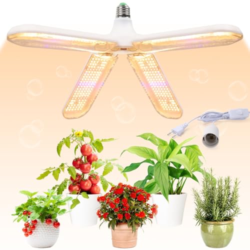 highydroLED A琬Cg 40v(200v) gFn 552LED tXyNg ͔|v E26 cCg k͔| ƒ؉ | ؍H