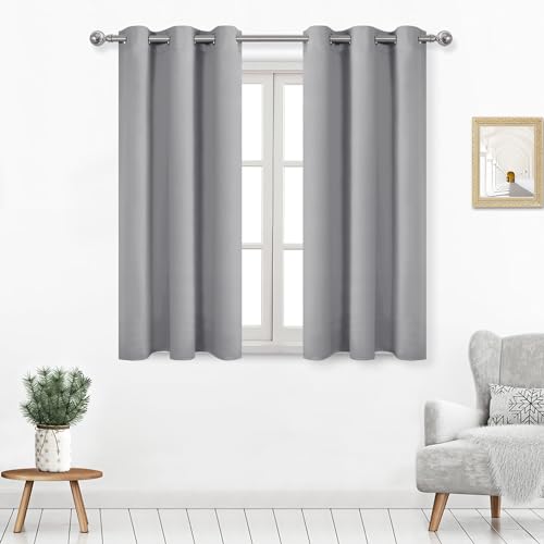 Image of DWCN Blackout Curtains for Bedroom Living Room W42 x L45 Inch Silver Grey