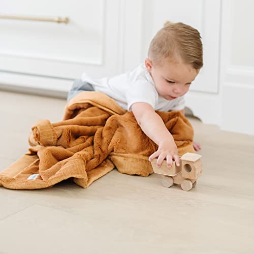 Saranoni Receiving Blankets For Babies Super Soft Boutique Quality Lush Luxury Baby Blanket (Camel, Receiving Blanket 30" X 40") #TOP2
