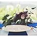 Tiger Chef 12-Pack Royal Blue 12 x 108 inches Long Satin Table Runner for Wedding, Table Runners fit Rectangle and Round Table Decorations for Birthday Parties, Banquets, Graduations, Engagements