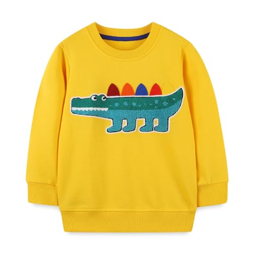 Boys Sweatshirts Long Sleeve Sweatshirts T-shirts Crew Neck Cotton Casual Sweatshirts Cartoon Tops for Boys-43