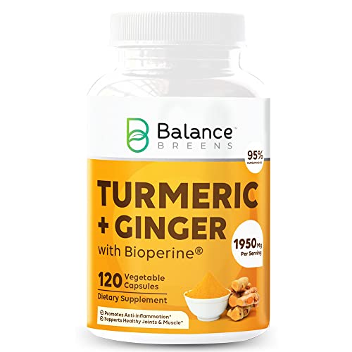 Turmeric Curcumin 95% Curcuminoids with Ginger and BioPerine - 1950mg - 120 Veg Capsules - Black Pepper Extract Advanced Absorption for Cardiovascular Health and Joint Support