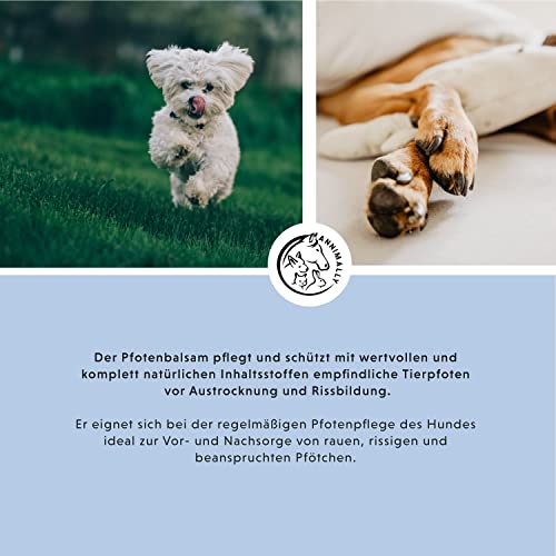 Annimally Pfotenbalsam Hund 50g - Pfotenschutz Hund und Pfotenbalsam Katze mit Bienenwachs, Sheabutter & Ringelblumenöl - Pfotensalbe für die Pfotenpflege Hund im Winter & Sommer - Hundepflege