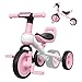 FAYDUDU 4 in 1 Triciclo Bambini 1 Anno Bicicletta Senza Pedali 2 Anni Tricicli per Bambini 1-3 Anni (Rosa)