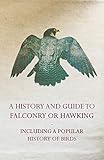A History And Guide to Falconry or Hawking