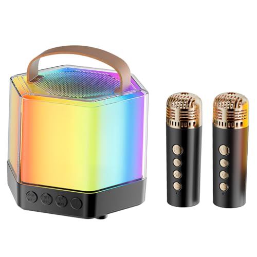 Mini machine de karaoké pour fêtes et anniversaires avec micros sans fil Q7