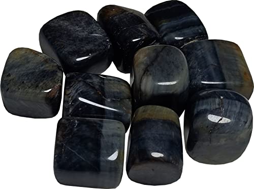 �f�����A�X �u���[�^�C�K�[�A�C �i�`�������u���[�J���[ ����^���u���X�g�[��(100�O����)-B0BC4DD5DNN