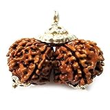 Jewelryonclick Natural Gauri Shankar Rudraksha Beads Pendant 925 Sterling Silver Chakra Healing...