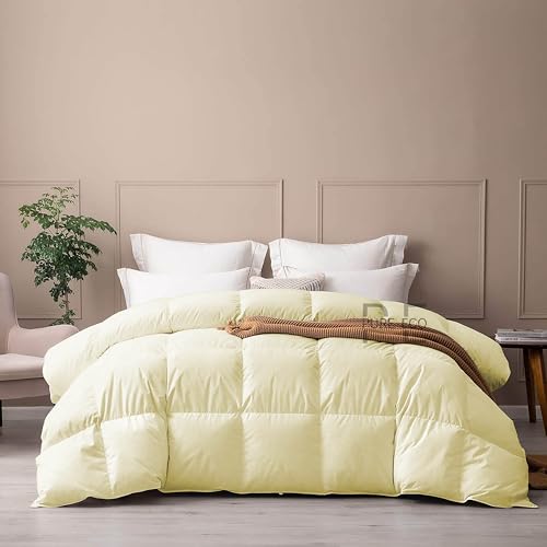Image of PURE ECO 300 GSM Comforter for Double Bed Size - Luxury & Soft Microfiber 300 GSM Comforter for Winter - Duvet /Blanket Double Bed (90 inchX100 inch) - Ivory Color