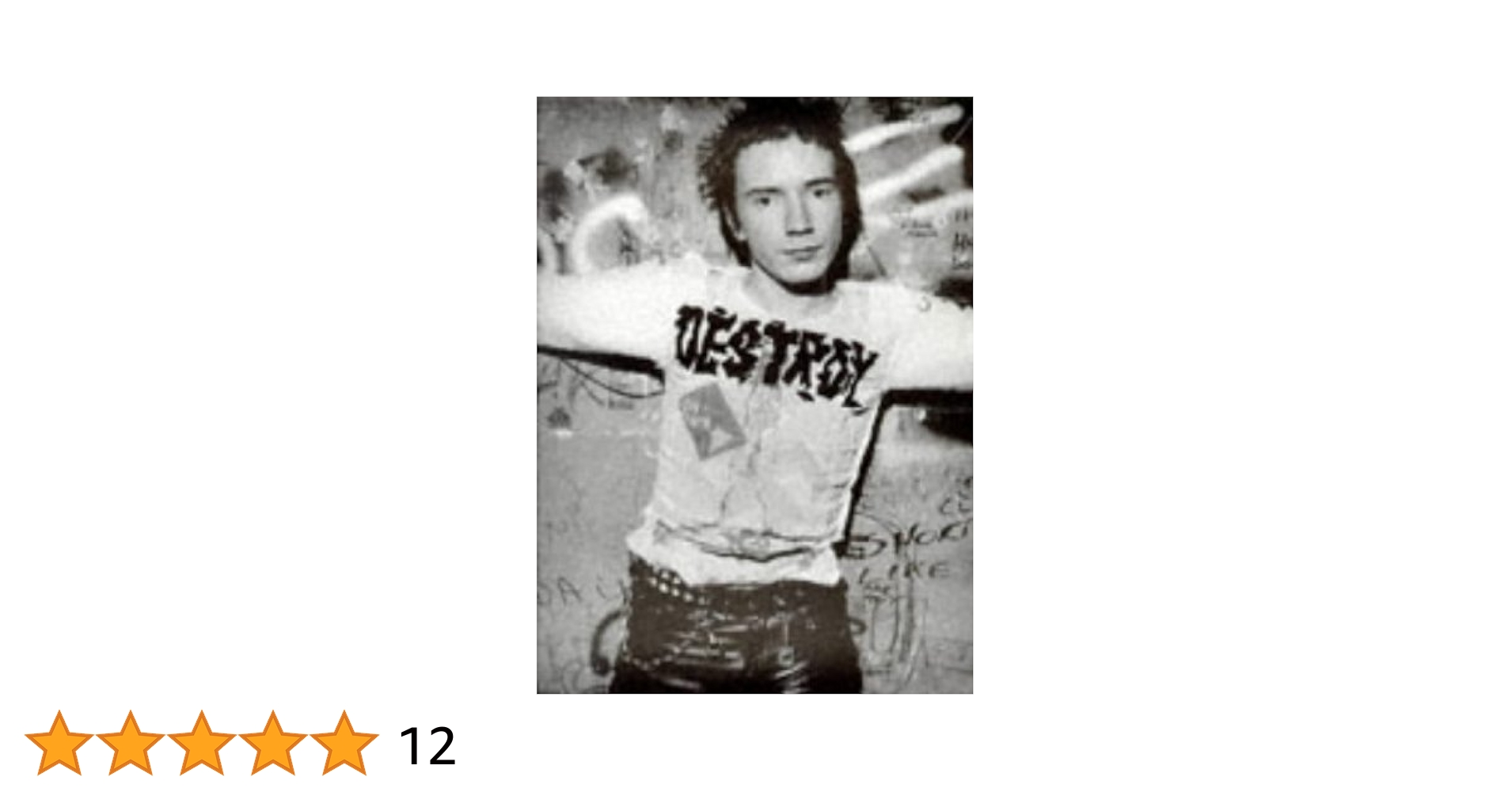 Amazon.co.jp: Destroy: A Photographic Record of the Sex