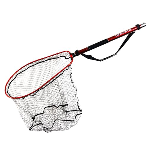 ދ J[{ʂ̕ [JVtg fBOlbg TCYM 2_Zbg 3.5^4^4.5^5^5.5^6 (bh, 6m)