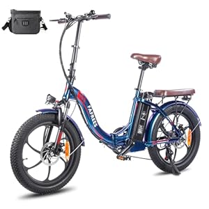 Fafrees E-bike voor heren en dames, 20 inch elektrische fiets, vouwfiets tot 25 km/u, met 36 V 18 Ah accu en 250 W motor, 70-150 km elektrische fiets, F20 Pro