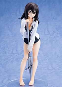 ストライク・ザ・ブラッド 姫柊雪菜 1/8 完成品フィギュア アルター 41RSFJvzIcL._AC_UF350,