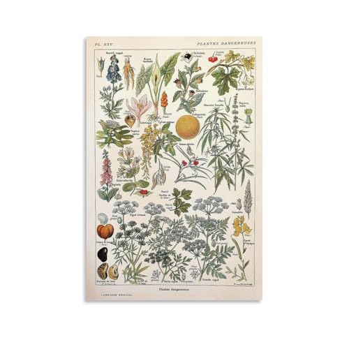 Dangerous Plants impression moderne pour habiller un mur vide 40x60