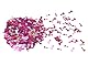 45 Gramm Bachelorette Party Konfetti Brautparty Tischpailletten Junggesellinnenabschied Tischkonfetti Streuteile für Partydekorationen