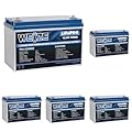 Weize 12V 100Ah LiFePO4 Lithium Battery, Built-in Smart BMS, Low Temperature Protection Group 31 Deep Cycle Battery for Trolling Motor, RV, Solar, Marine, Camping and Off Grid Applications (Pack of 5)
