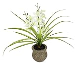 Flair Flower