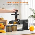 Cold Press Juicer Machines, Slow Masticating Juicers with LED Smart Touch Screen, Professional Extractor for Leafy Greens, Kale & Fibrous Vegetables, 2 Modes & Reverse, BPA-Free - Image 3