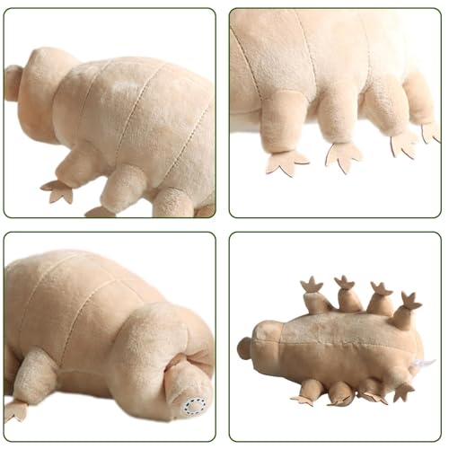 Generisch Kuscheltier Bärtierchen Plüschtier, Meerestiere Kuscheltiere, Realistisches Meerestier, Weiches Wasserbär-Plüschtier, Seltsame Stofftier Plüschpuppe Geburtstagsgeschenke für Kinder, Freunde