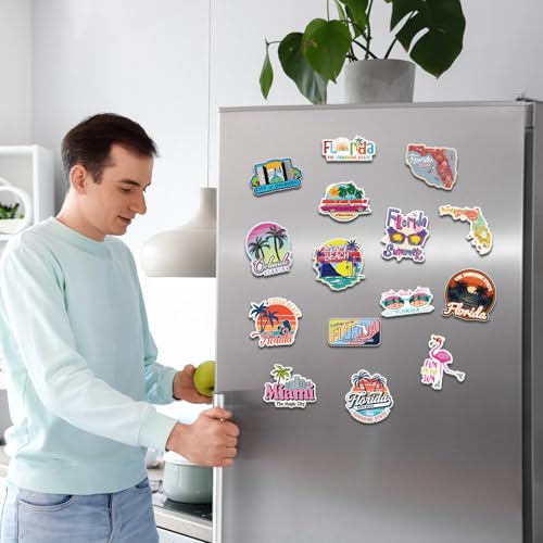 Imanes decorativos para refrigerador set 30 piezas Florida miniatura 5