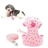 Lace Trim Collar Bell Girls Small Dog Vest Harness and Leash Set for Walking Escape Proof Kitten Cat Harness No Pull Soft Mesh Padded Adjustble Puppy Summer Clothes,Pink Strawberry,Small