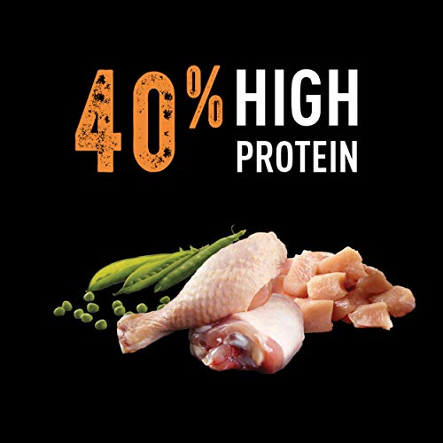 CRAVE Grain Free Adult High Protein Natural Dry Cat Food with Protein