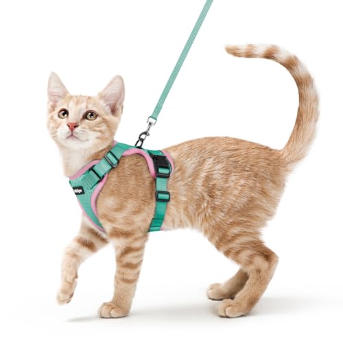 rabbitgoo Cat Harness and Leash for Walking, Escape Proof Soft Adjustable Vest Harnesses for Cats, Easy Control Breathable Reflective Strips Jacket, Pink&Light Green, XS
