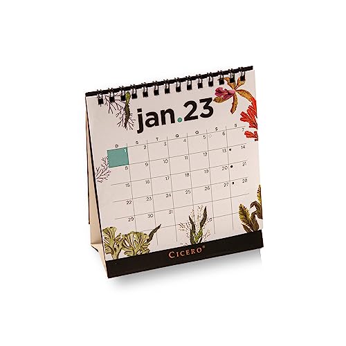 Cicero Calendario de Mesa Ciceros 2023 Oceano, Modelo: 0371, Cor: Colorido