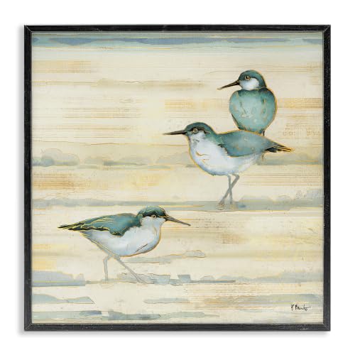 Oceanside Sandpipers Coastal Bird, 24 x 24 Inch Framed Giclée Print
