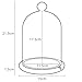 Lights4fun, Inc. Glass Cloche Bell Jar Display Dome with Bamboo Base - 9