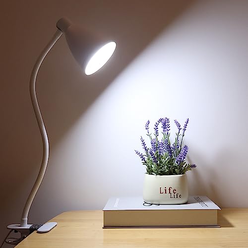 Solduce LED Desk Lamp Reading Lamp Clamp Lamp 3 Color Modes 10 Brightness Dimmer Table Lamp with Auto Off Timer Eye-Caring Office Lamp 360° Flexible Gooseneck Clip,AC Adapter Include,White (White) Solduce LED Desk Lamp Reading Lamp Clamp Lamp 3 Color Modes 10 Brightness Dimmer Table Lamp with Auto Off Timer Eye-Caring Office Lamp 360° Flexible Gooseneck Clip,AC Adapter Include,White (White)