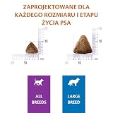 Wellness CORE Puppy 10 kg, Kurczak – Sucha Karma