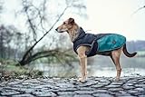 HUNTER Hundemantel UPPSALA ALLROUNDER, Farbe: anthrazit/petrol, wasser- und windabweisend, herausknöpfbares Innenfutter, reflektierende Paspeln, elastische Fixiergummis, optimaler Sitz, Größe: 50