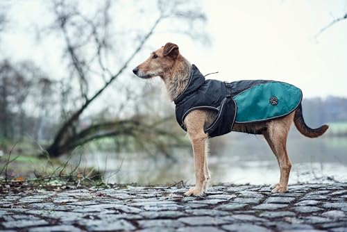 HUNTER Hundemantel UPPSALA ALLROUNDER, Farbe: anthrazit/petrol, wasser- und windabweisend, herausknöpfbares Innenfutter, reflektierende Paspeln, elastische Fixiergummis, optimaler Sitz, Größe: 40
