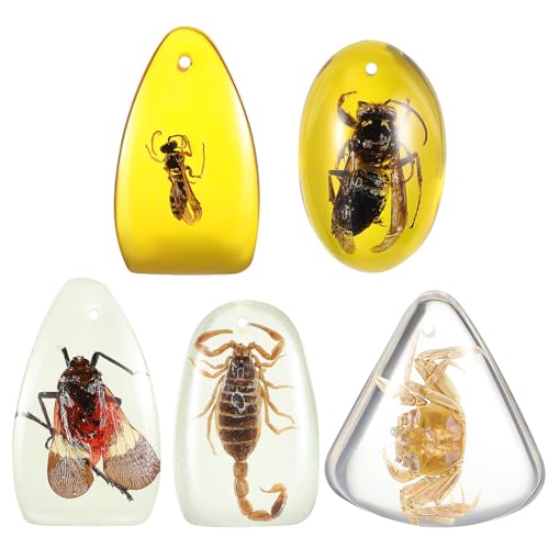 [MOKKHNB] 5 背W߃y_g_ nhChp`[ uXbg lbNXp ANZT[ RNV