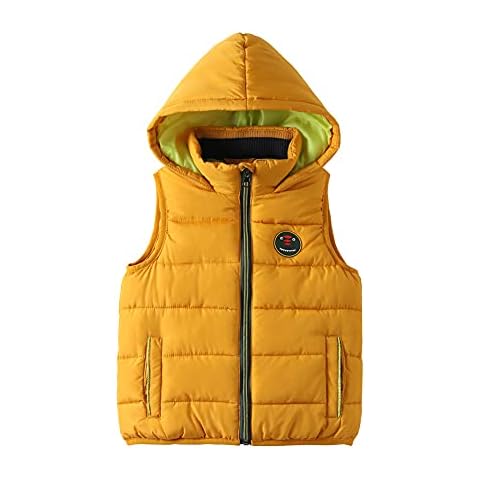 Mud Kingdom Dinosaur Hooded Vest Jacket Cover