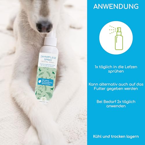 Wolfsbacher Natur Zahnsteinentferner für Hunde und Katzen – Natürliche Zahnreinigung ohne Bürsten - Löst Zahnstein, verleiht frischen Atem – Dentalspray mit Minze und 100% pflanzlichen Wirkstoffen